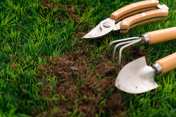 Nettoyez les outils de jardinage près d'une parcelle de terre dans l'herbe verte.