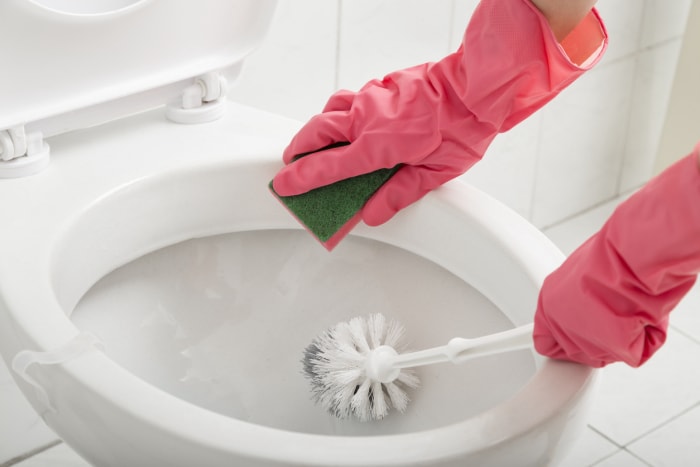 mains dans des gants de ménage roses nettoyant la cuvette des toilettes avec une brosse et une éponge.