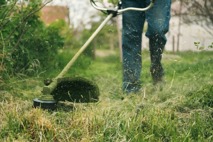 Un homme utilise un coupe-herbe sur une pelouse verte.