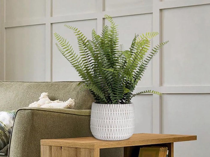 Les meilleurs endroits pour acheter de fausses plantes Option Lowe's