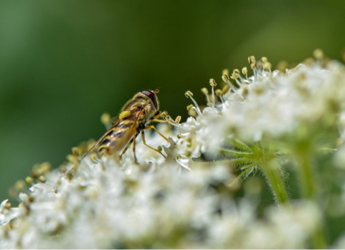 Les 10 plus grosses erreurs de jardinage potager