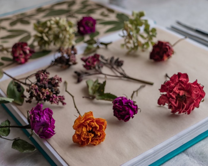 Fleurs et feuilles séchées sur un livre.