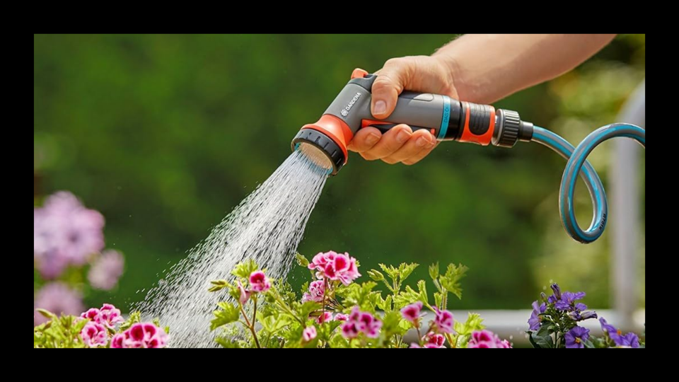 Hand watering flowers with hose nozzle