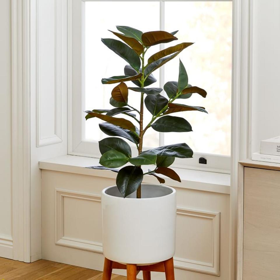 West Elm 39-inch Faux Potted Rubber Tree