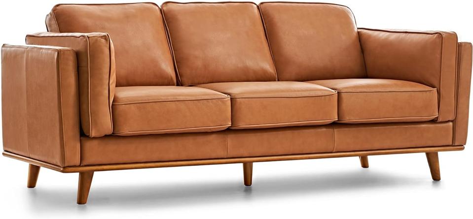 Valencia Leather Sofa on white background.