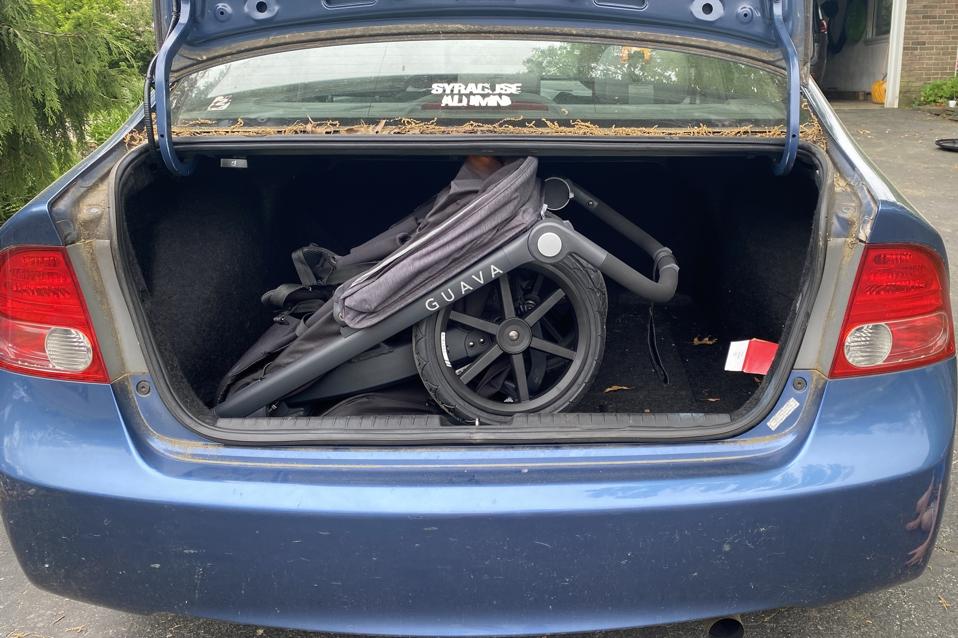 photo of black Guava Roam in the trunk of a blue car outside