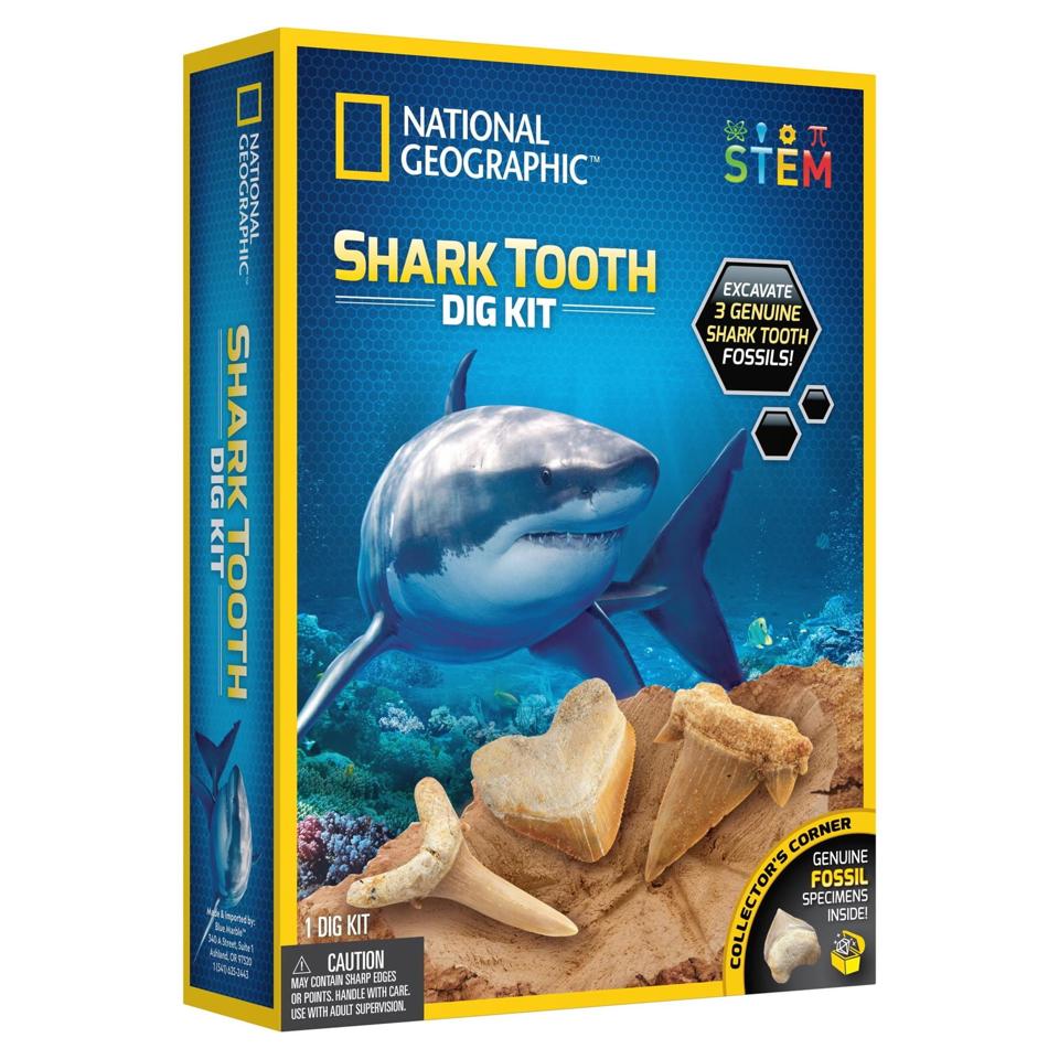 Digging kit featuring large gray shark and shark teeth in dirt