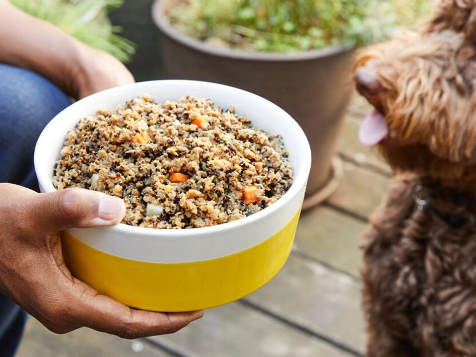 A pet parents holds out a big bowl of dog food from PetPlate while a goldedoodle dog is featured in the background