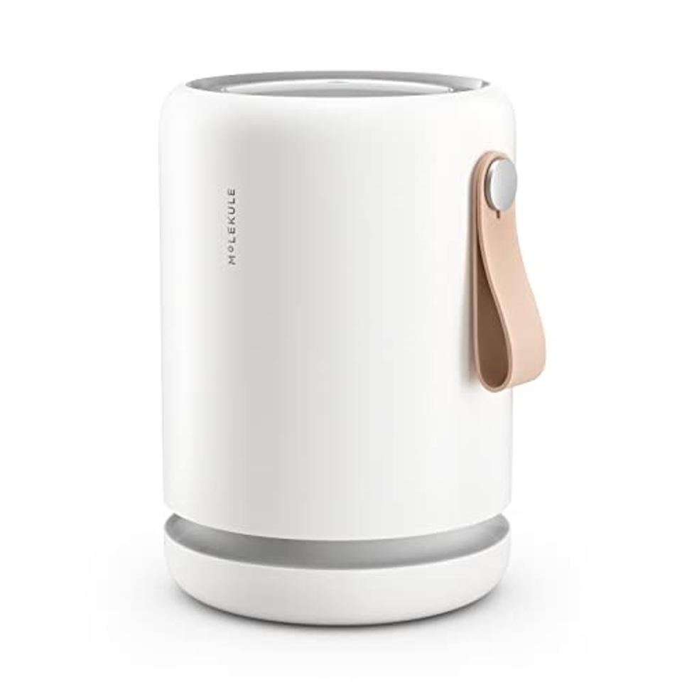 Best Air Purifiers for Smoke: Molekule Air Mini+