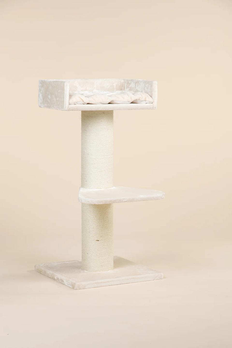 Cat Tree King Cat Trone XXL 