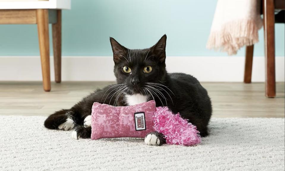 A black and white cat playing with a pink KONG Kickeroo Kitten Toy