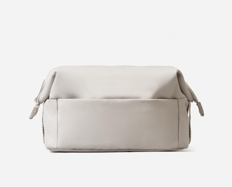 Best Purse Organizers: Everlane ReNew Catch-All Case