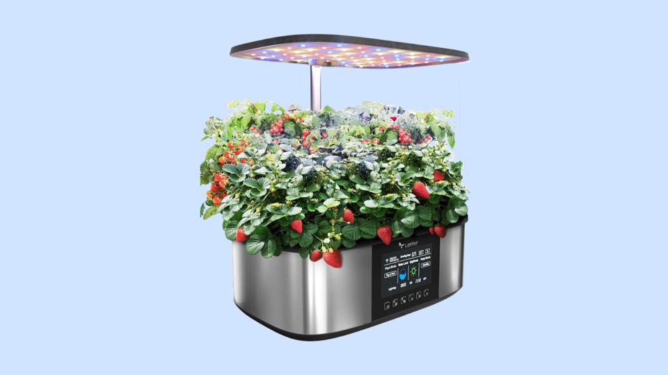 The LetPot LPH-Max Hydroponics Growing System Kit against a white background.