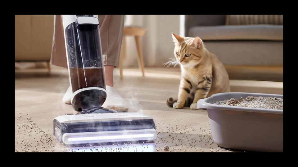 A cat watching the Tineco steam mop cleaning up spilled cat litter. 