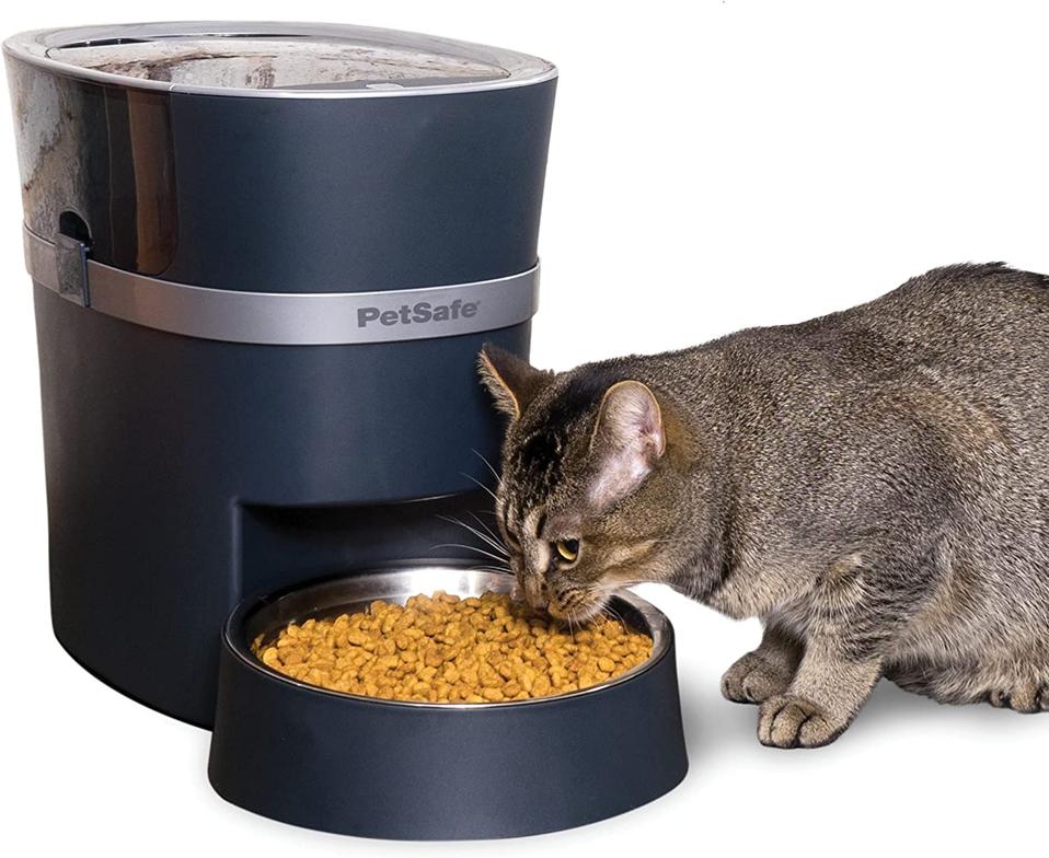 Best automatic Cat Feeders: PetSafe Smart Feed Electronic Pet Feeder for Cats & Dogs