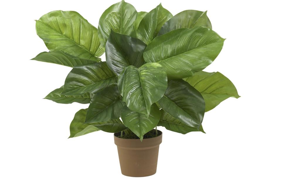 Nearly Natural 6583 Large Leaf Philodendron Decorative Silk Plant, 52-Inch, Green