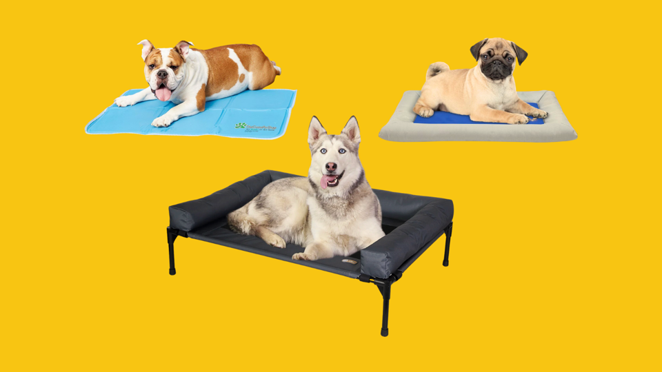 3 cooling dog beds k&h original bolster pet cot, arf pets bed, green pet shop cool pet pad