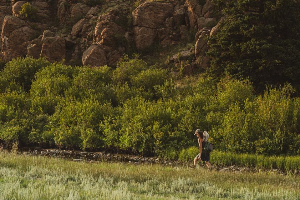 A fly fisher walks along a river surrounded by grass and willows.