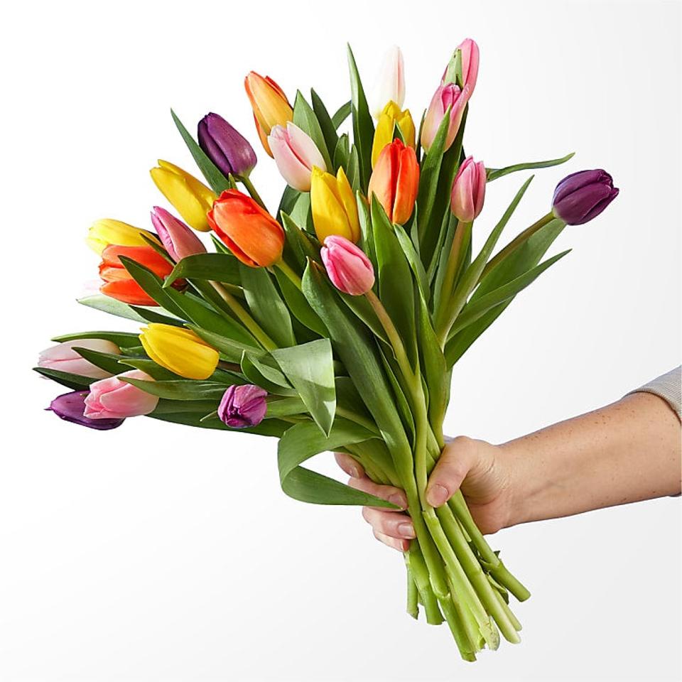 FTD Picnic Tulips on white background