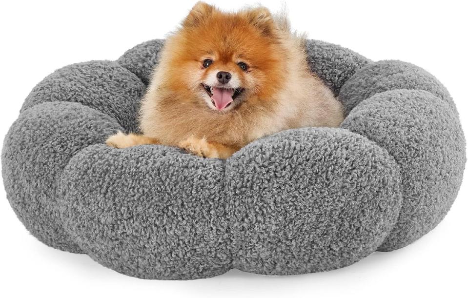 Lesure Calming Small Dog Bed - best dog beds 