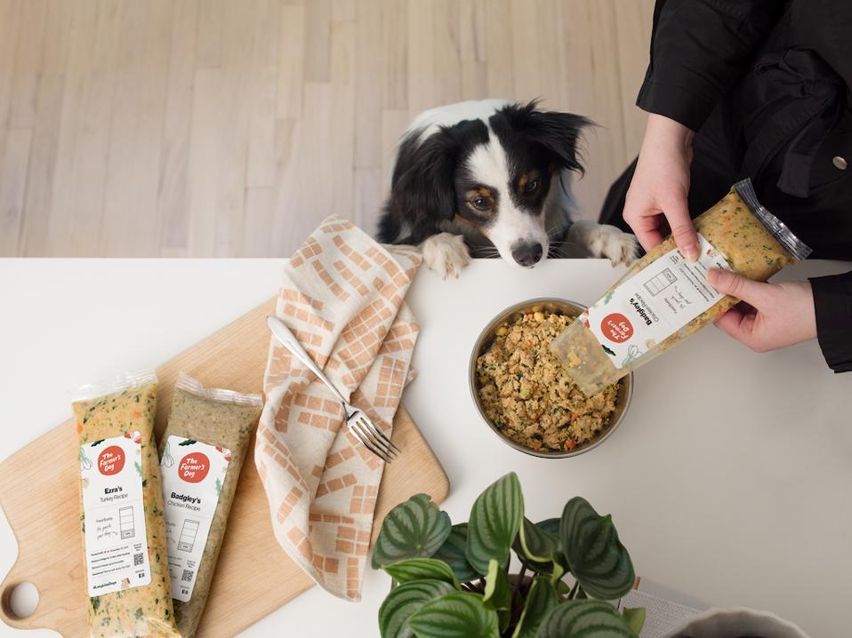 A pet parent serves a meal from The Farmer's Dog while a black and white puppy eagerly awaits the bowl of food.  