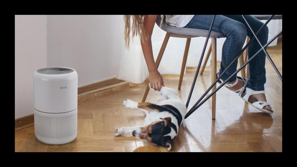 A little girl seated on a chair bends down to pet her dog, while a Levoit air purifier hums in the background. 