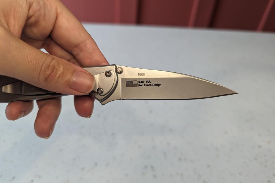 A person holding the handle of the Kershaw Leek pocket knife