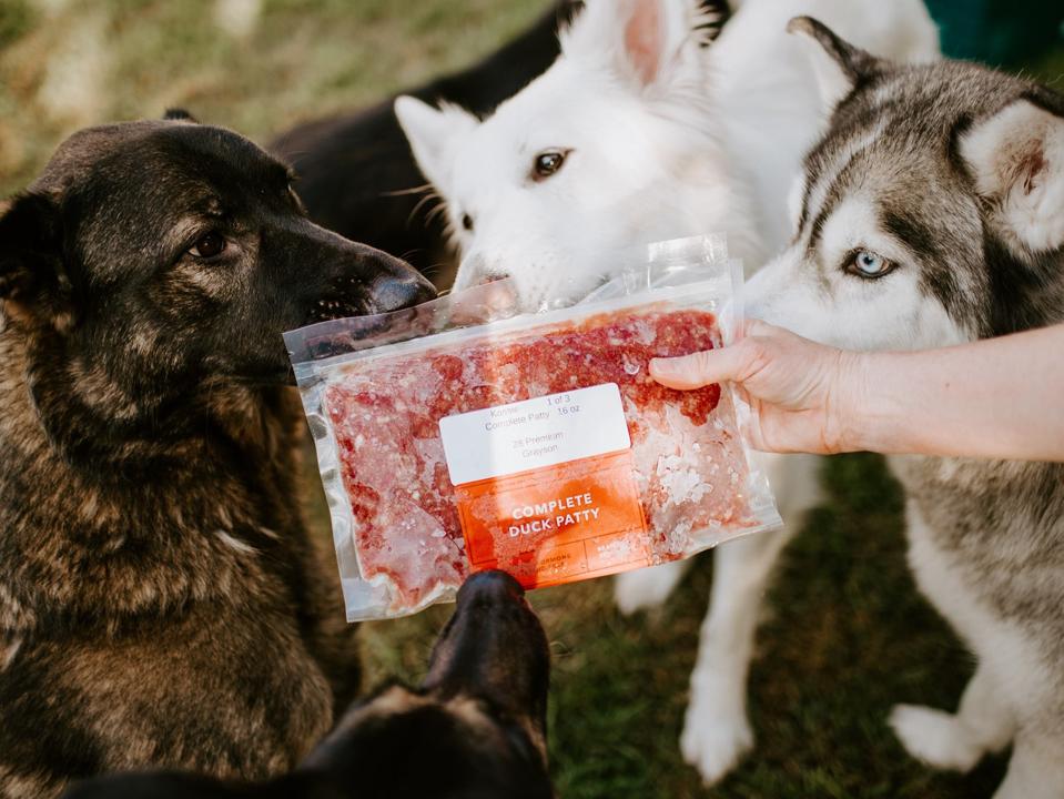 A pet parents holds out a meal from We Feed Raw Meal Plans while three dogs sniff the packet of food.