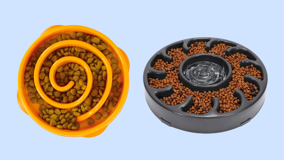 One orange-colored spiral-shaped bowl and one black slow-feeder dog bowl against a light blue background.