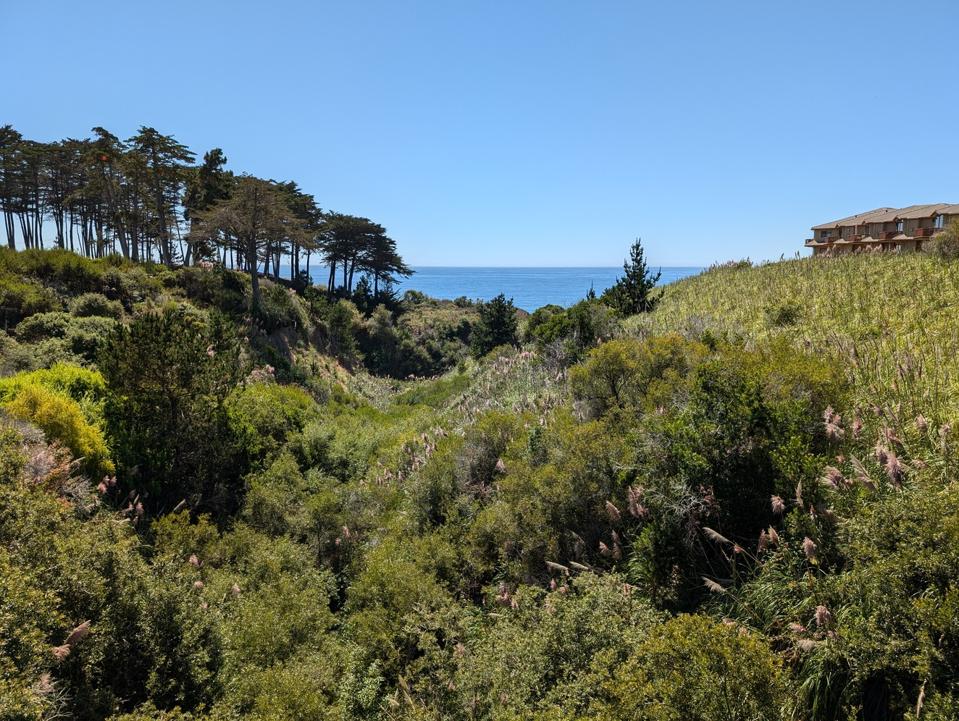 Photo of a landscape taken with the wide camera on the Google Pixel 9.