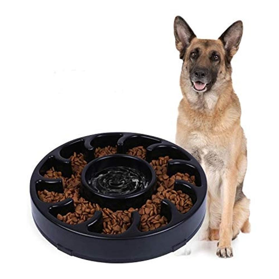 The Jasgood Slow-Feeder Dog Bowl in black filled with dry kibble near a large dog