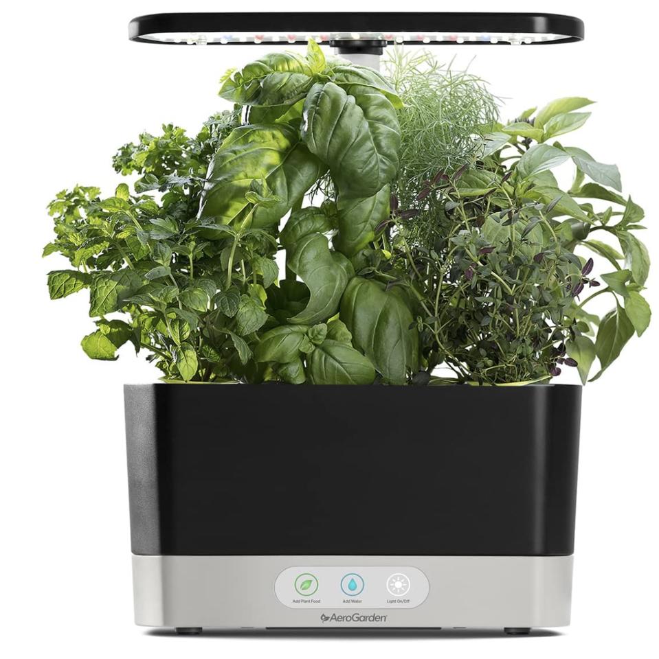 AeroGarden Harvest with Gourmet Herb Seed Pod Kit - Hydroponic Indoor Garden, Black