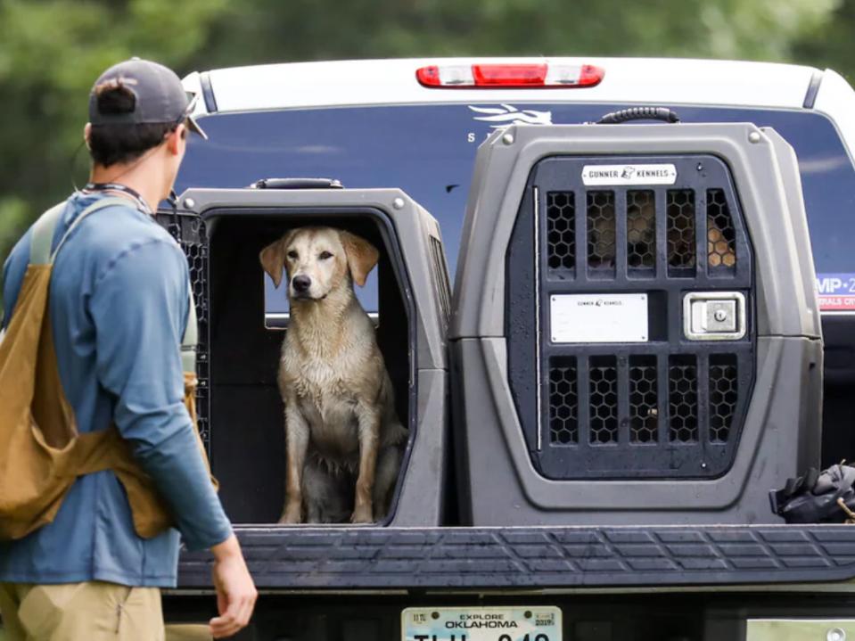 2 sizes of gray Gunner 1 Kennel on bed of a pickup w/ dogs inside man w/ dark cap standing