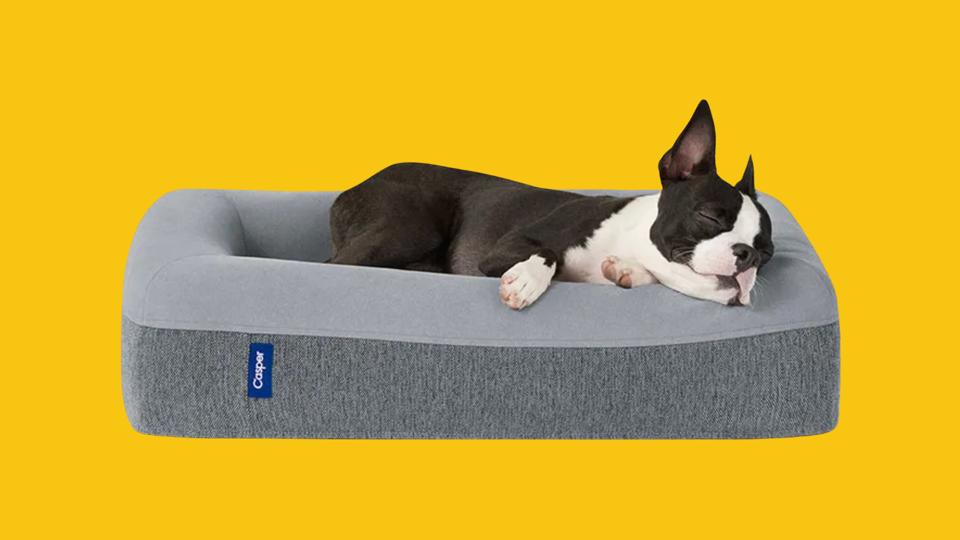 A French bulldog napping in a Casper dog bed. 