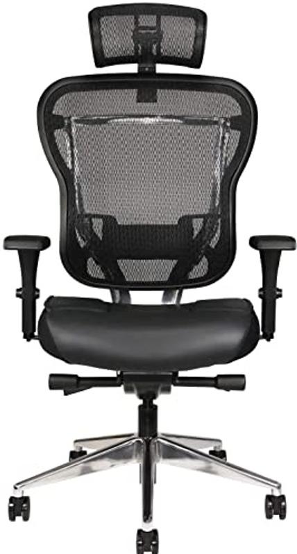 Best Big And Tall Office Chair: Oak Hollow Furniture Aloria Series Office Chair