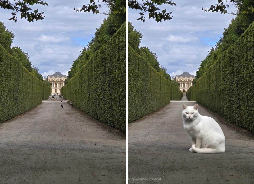 A side-by-side comparison of a landscape photo with an AI-generated cat in one image.