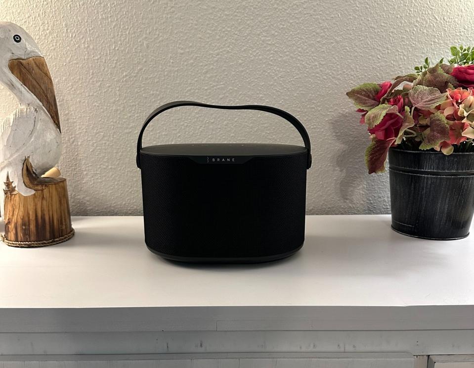 Brane X Smart Speaker at home