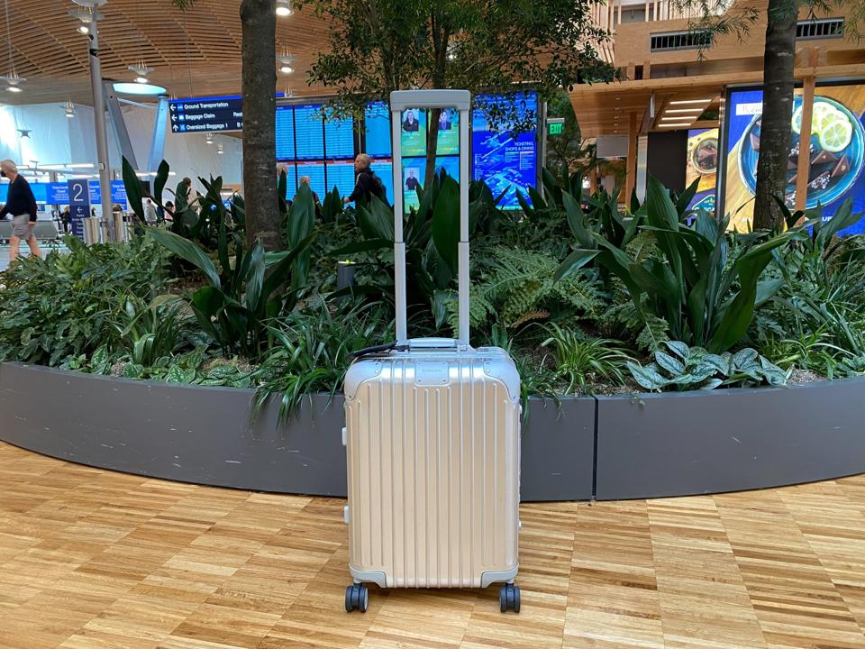 An aluminum suitcase in front of plants.