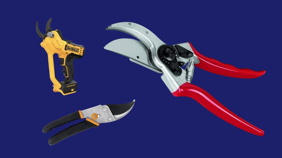 best-pruning-shears-2024