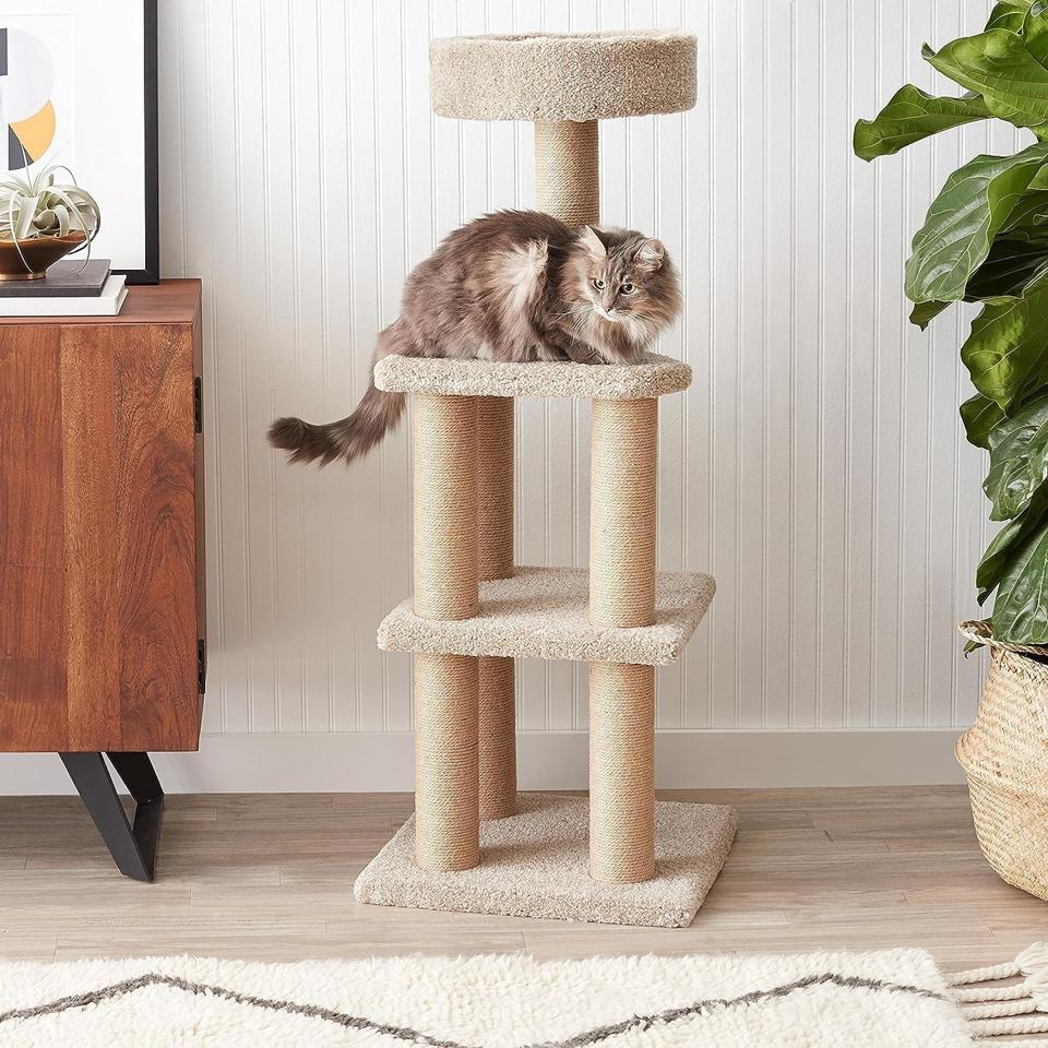 Amazon Basics - Cat Tree Indoor Climbing Activity Tower with Scratching Posts, multi-level, Large, 17.7" x 45.9", Beige