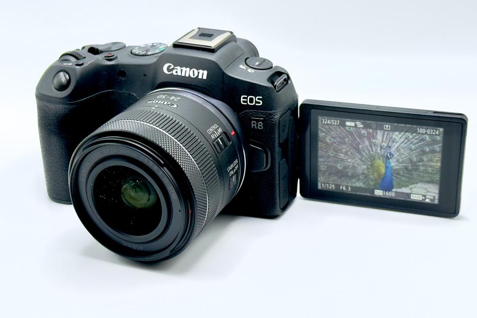 Canon EOS R8 Review