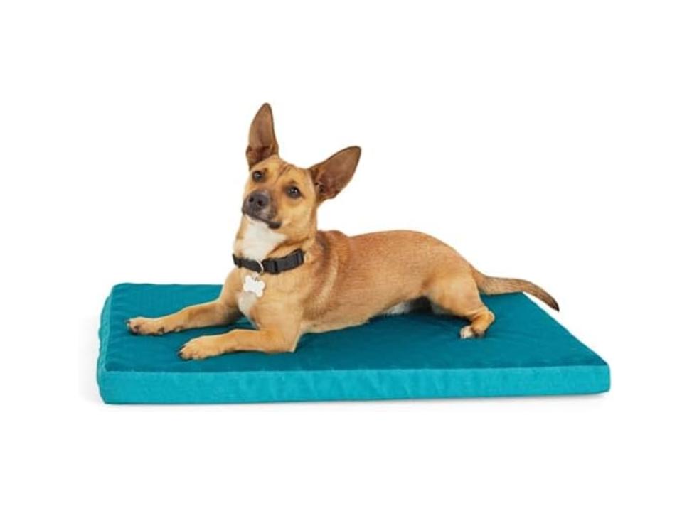 EveryYay teal Cool Orthopedic Dog Crate Mat with medium dog against a white background