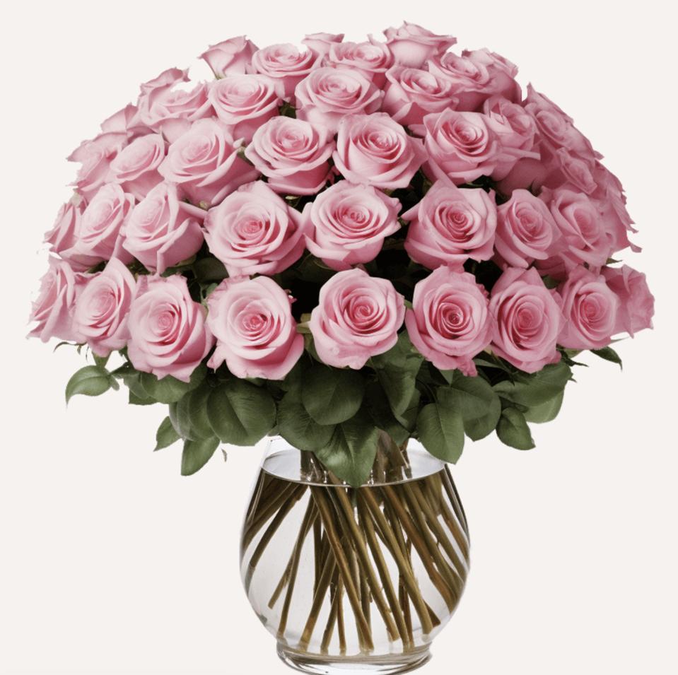 Global Rose 50 Pink Next Day Roses Bouquet on white background