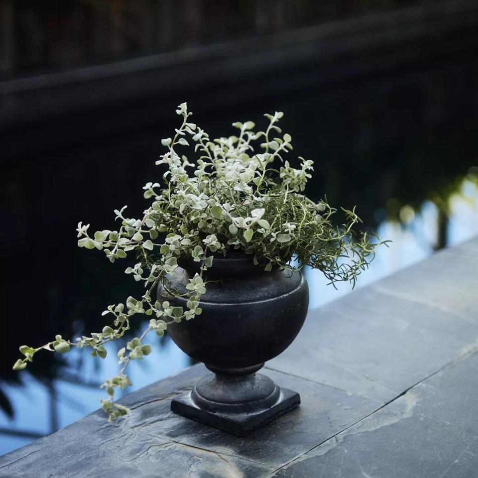 Rounded Cast Iron Urn Planter