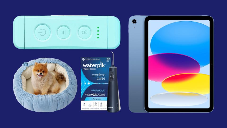 Dark blue background featuring a blue book light, iPad, dog bed with dog, and a Waterpik.