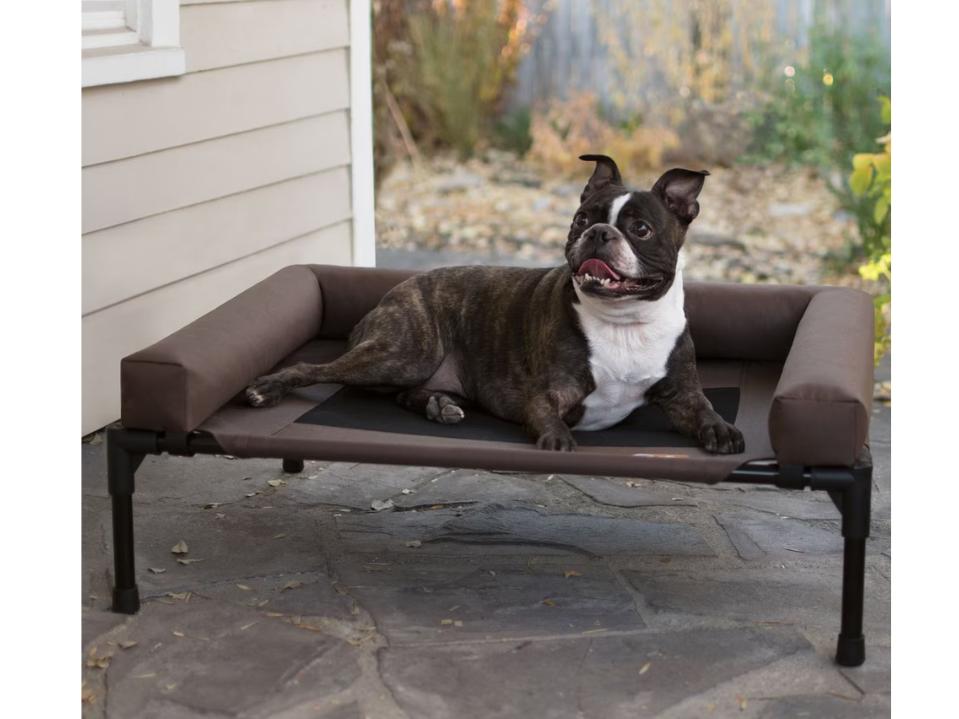 boston terrier sitting on chocolate K&H Original Bolster Pet Cot outside on patio