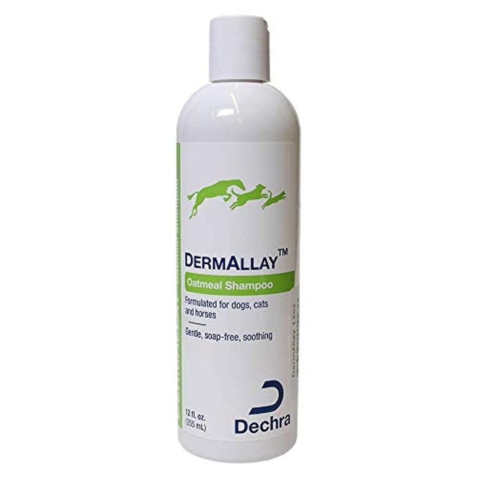 DermAllay Oatmeal Shampoo