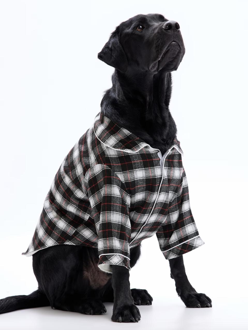 GAP Pet Pajamas