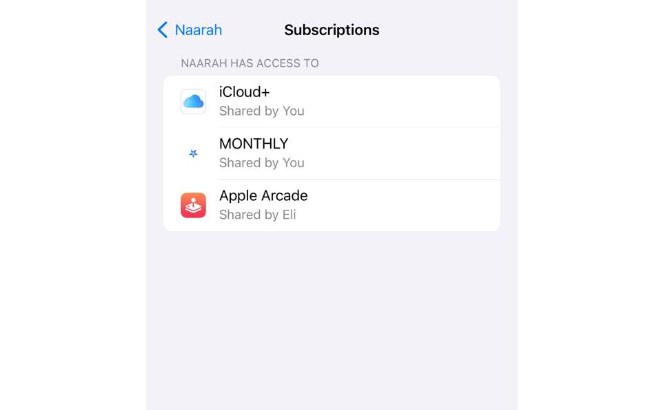 Screenshot of subscriptions a Child's iPad has access to, including Apple Arcade and iCloud