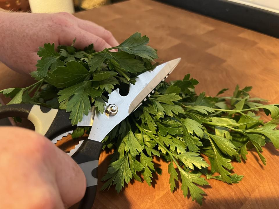 Hammer Stahl Kitchen Shears cutting through parsley.